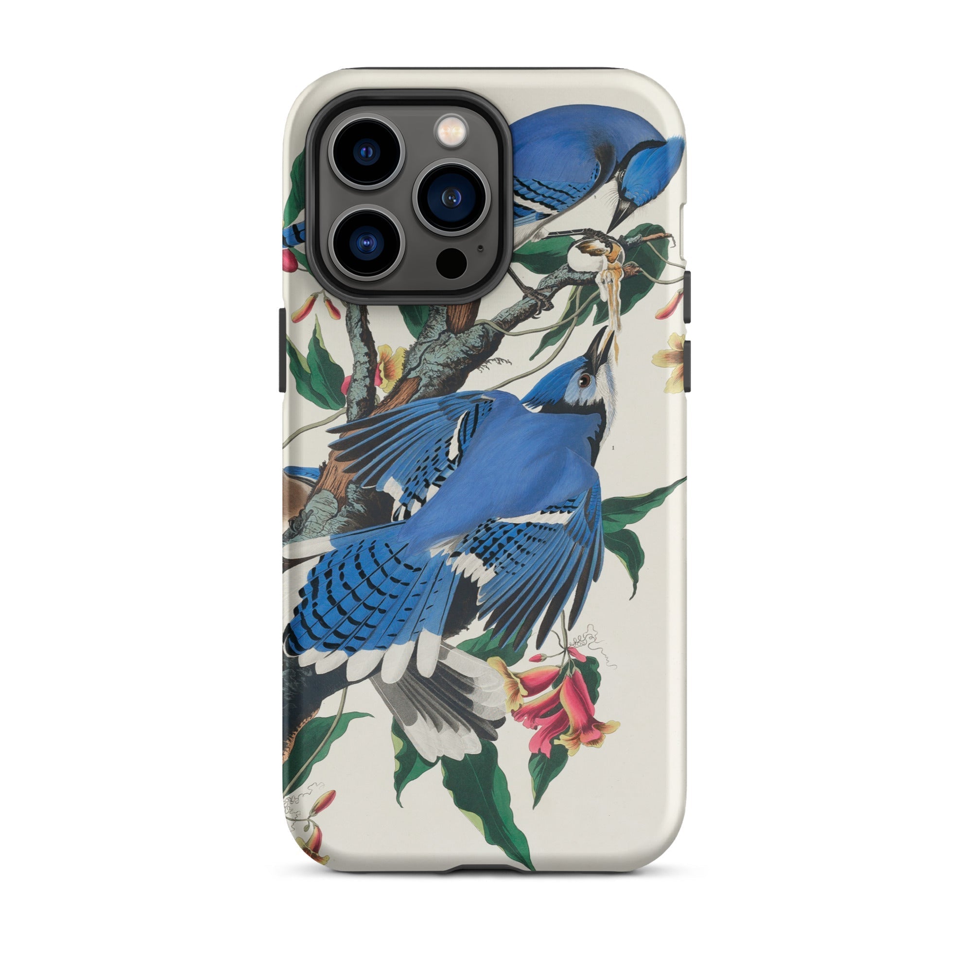 Blue Jays John James Audubon Iphone Case, 14 Pro Max / Matte, Blue Jay Patterned Phone Case