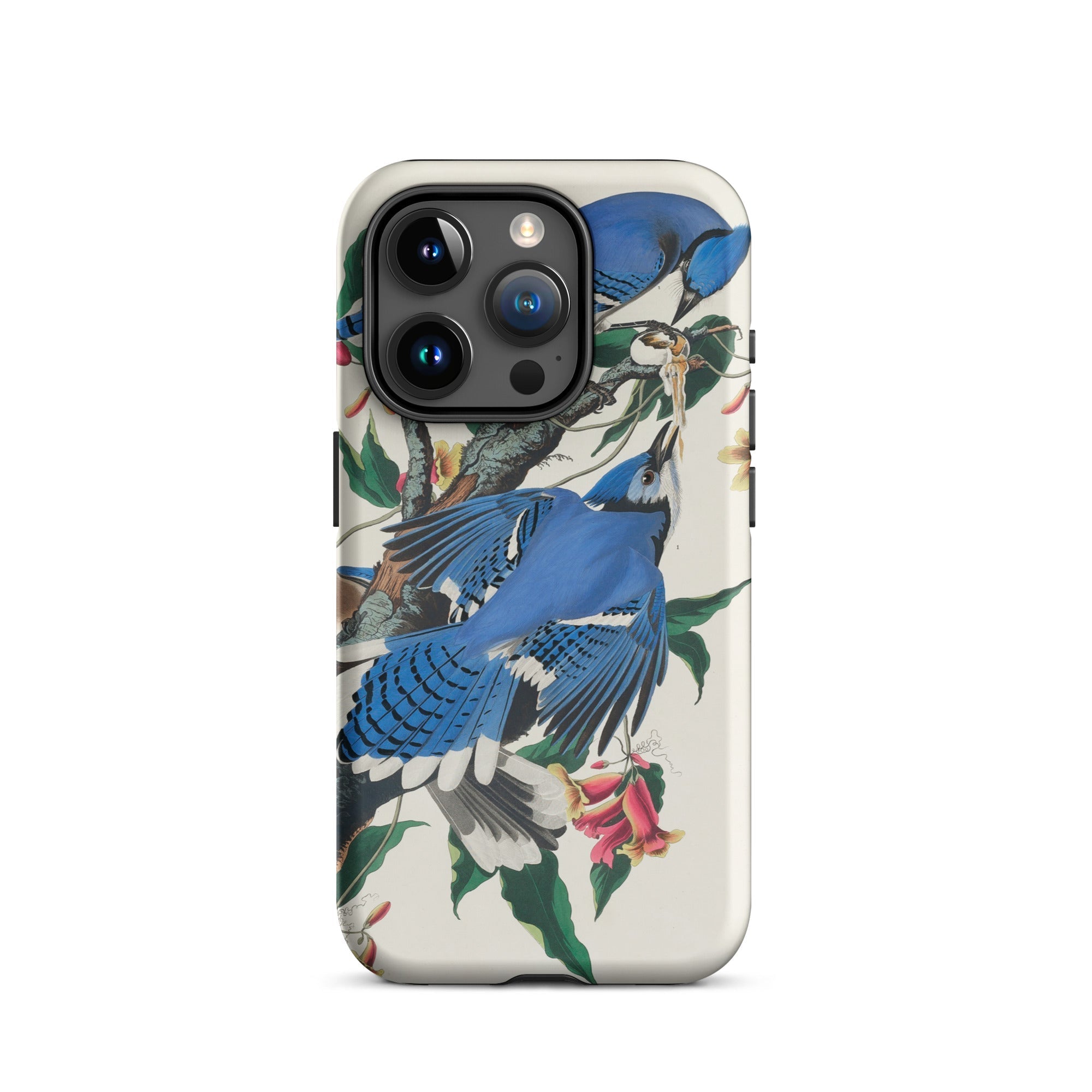 Blue Jays John James Audubon Iphone Case, 15 Pro / Matte, Blue Jay Patterned Phone Case