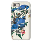 Blue Jays John James Audubon Iphone Case, 8 / Matte, Blue Jay Bird Phone Case