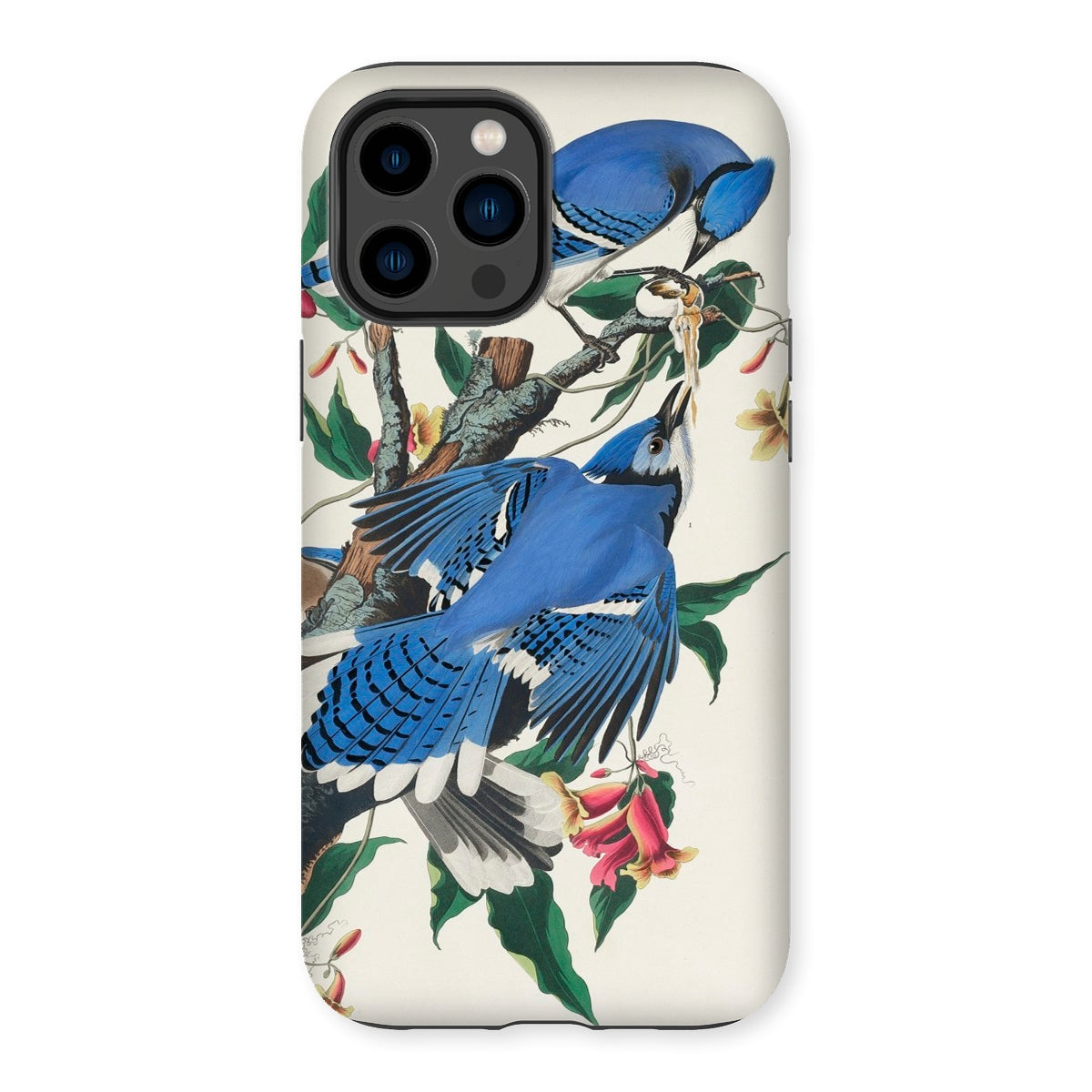 Blue Jays - John James Audubon Iphone Case, 14 Pro Max / Matte, Kite-942763782, Blue Jay Bird Phone Case