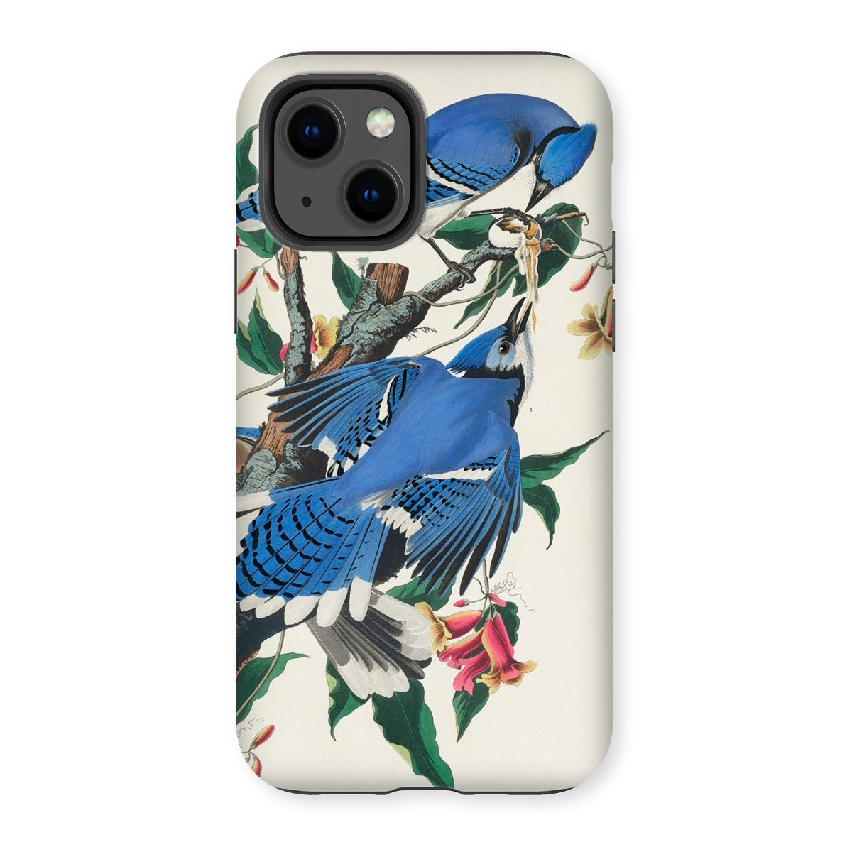 Blue Jays - John James Audubon Iphone Case - 13 / Matte