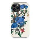 Blue Jays - John James Audubon Iphone Case - 14 Pro / Matte