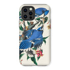 Blue Jays - John James Audubon Iphone Case - 12 Pro / Matte