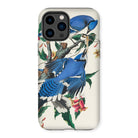 Blue Jays - John James Audubon Iphone Case - 14 Pro Max / Matte