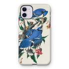 Blue Jays - John James Audubon Iphone Case - 11 / Matte