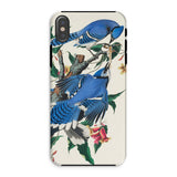 Blue Jays - John James Audubon Iphone Case, Xs / Matte, Blue Jay Phone Case