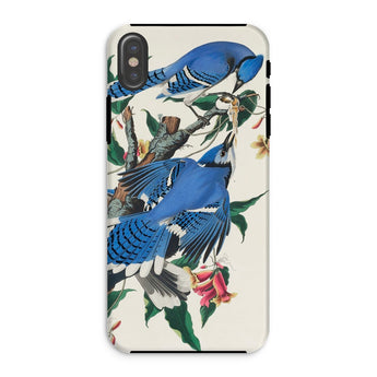 Blue Jays - John James Audubon Iphone Case, Xs / Matte, Blue Jay Phone Case