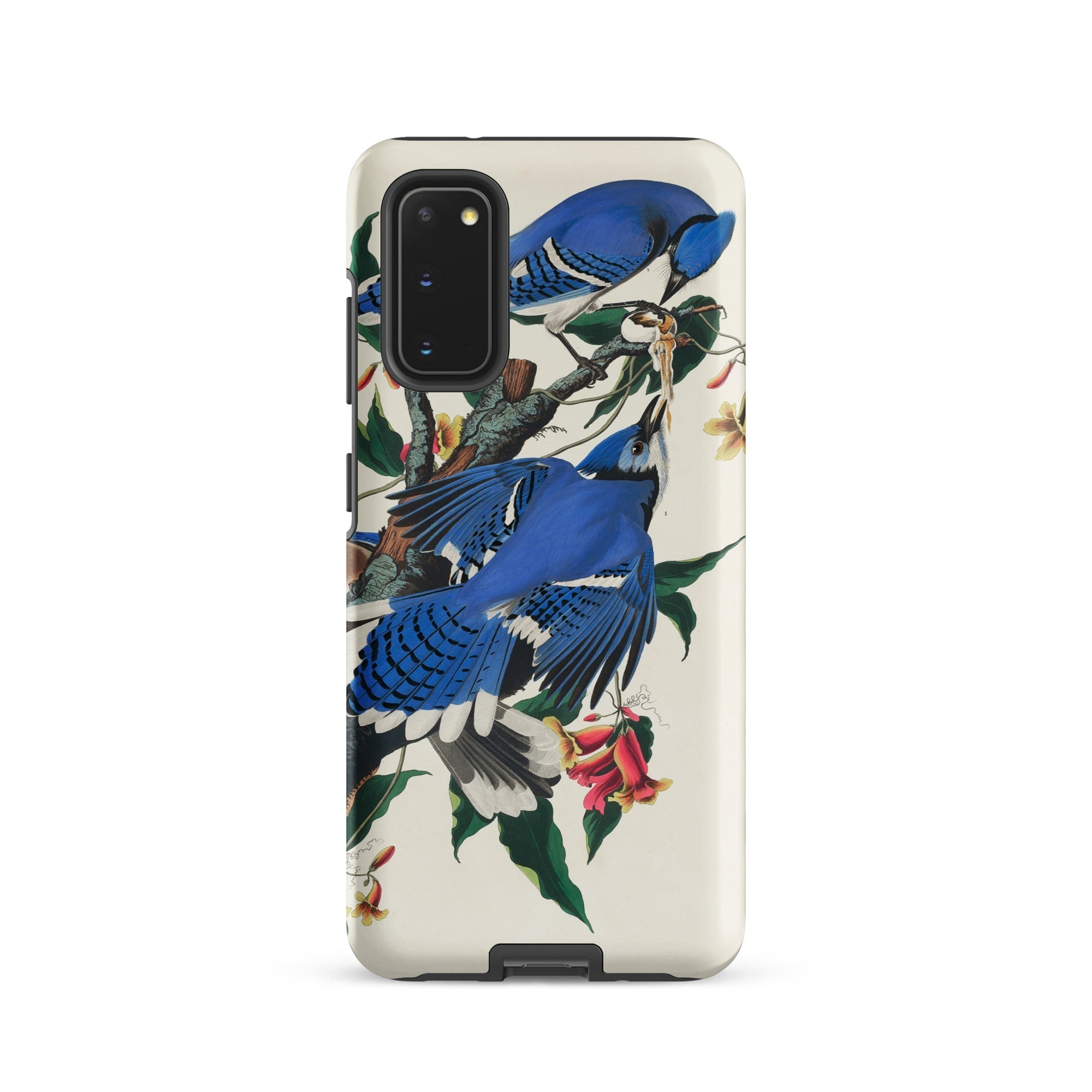 Blue Jays John James Audubon Samsung Case, Galaxy S20 / Matte, White Phone Case Blue Jay Bird Design