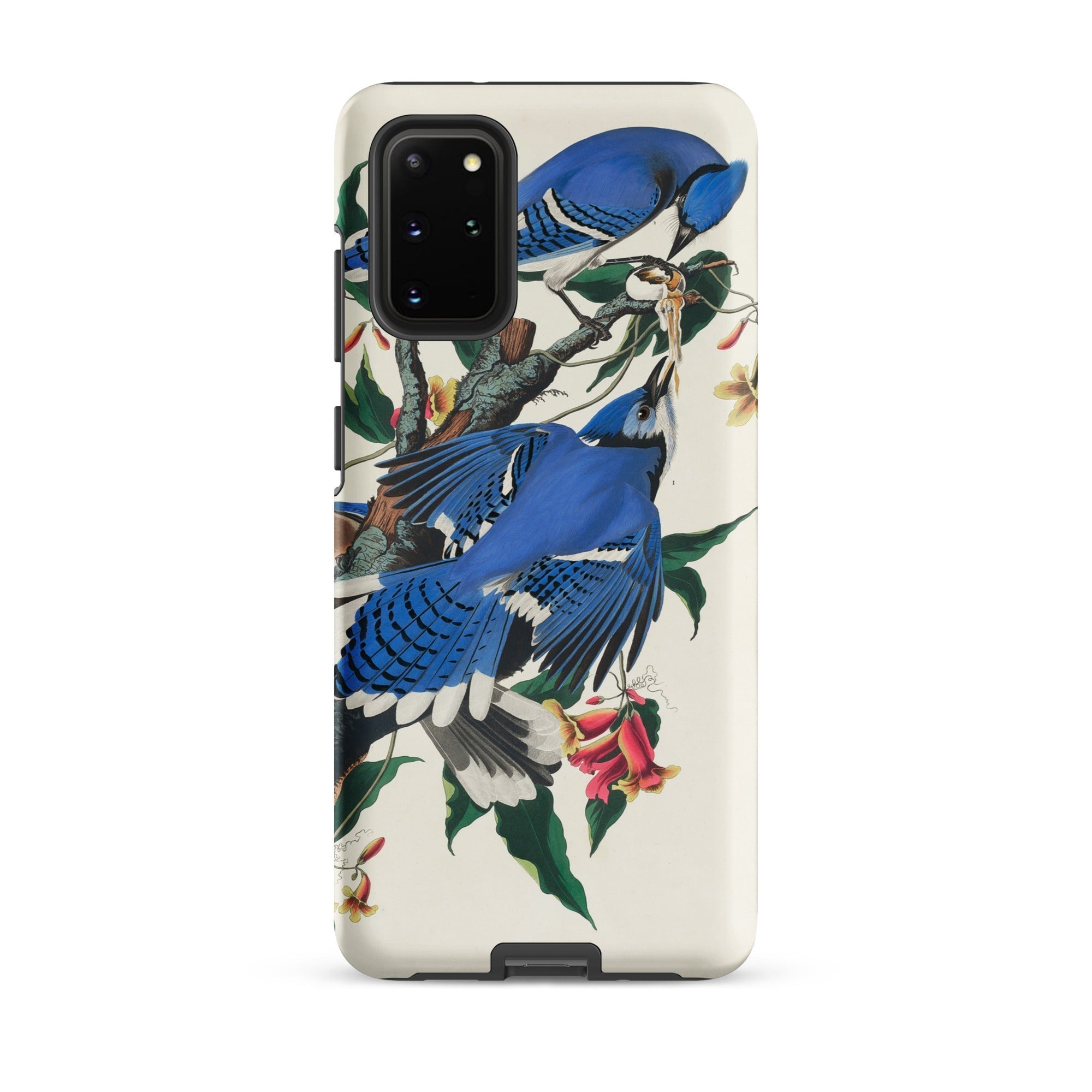 Blue Jays John James Audubon Samsung Case, Galaxy S20 Plus / Matte, Smartphone Case Blue Jay Bird Branch Design