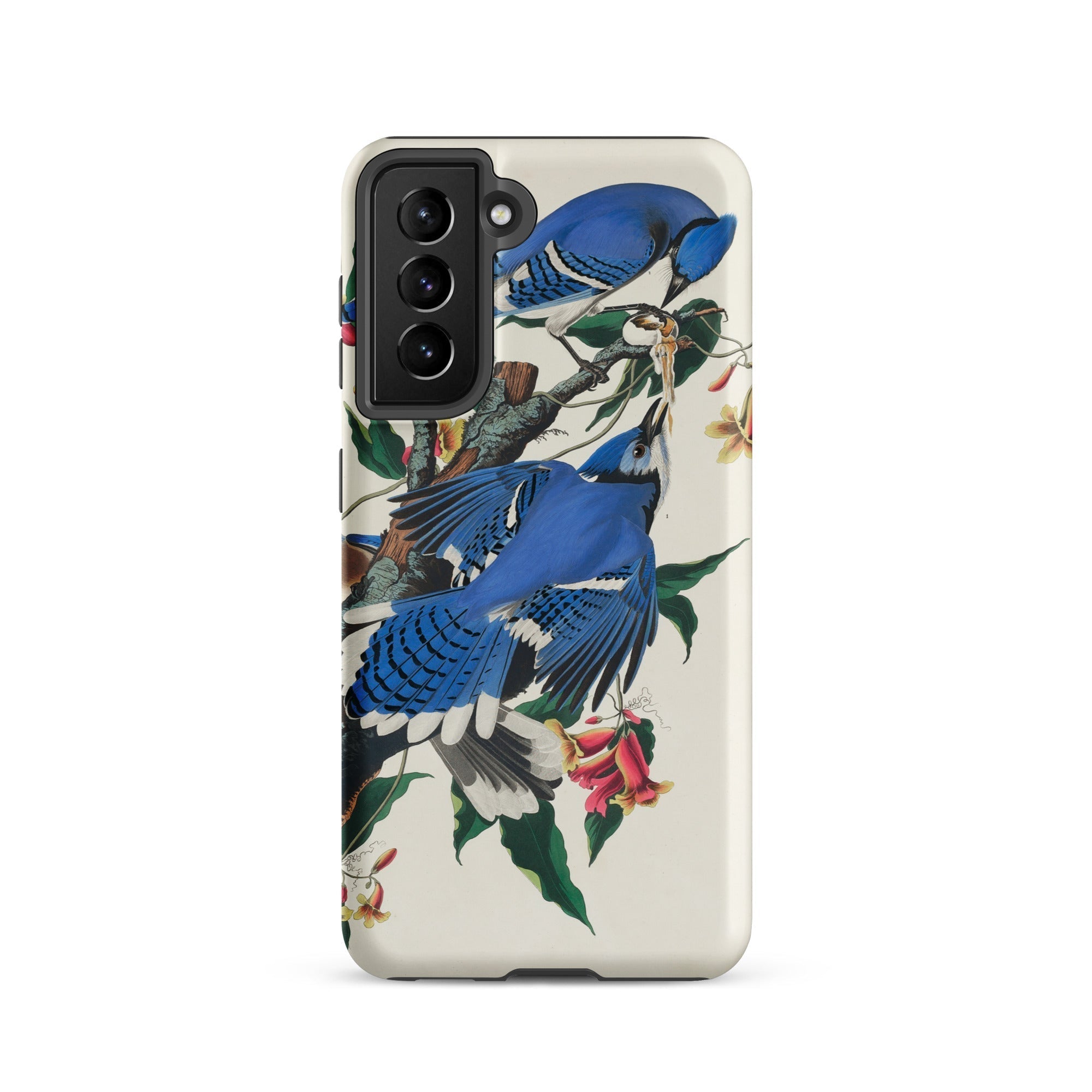 Blue Jays John James Audubon Samsung Case, Galaxy S21 / Matte, Smartphone Case Vibrant Illustration Blue Jays Flowers
