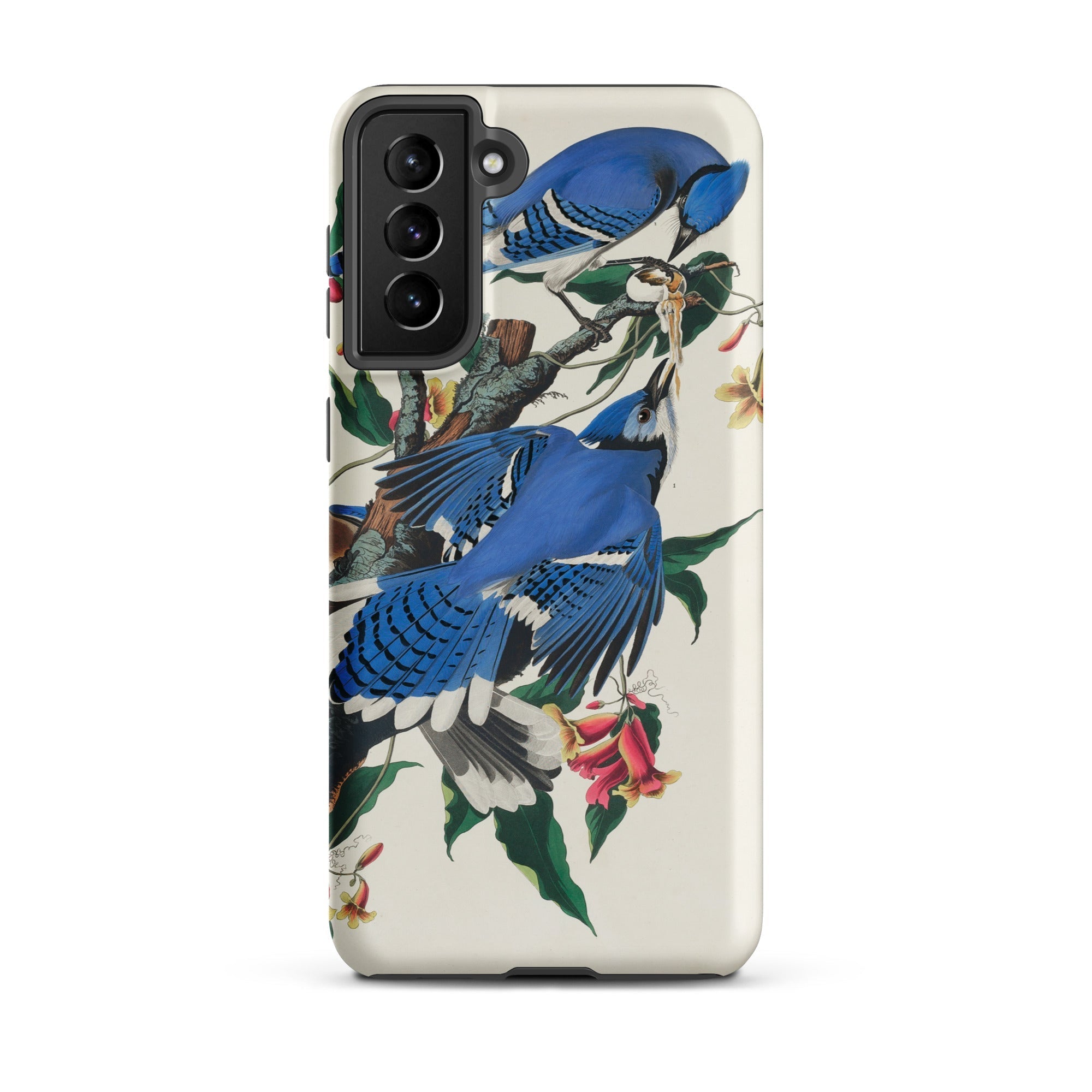 Blue Jays John James Audubon Samsung Case, Galaxy S21 Plus / Matte, White Phone Case Adorned Vibrant Blue Jay Floral