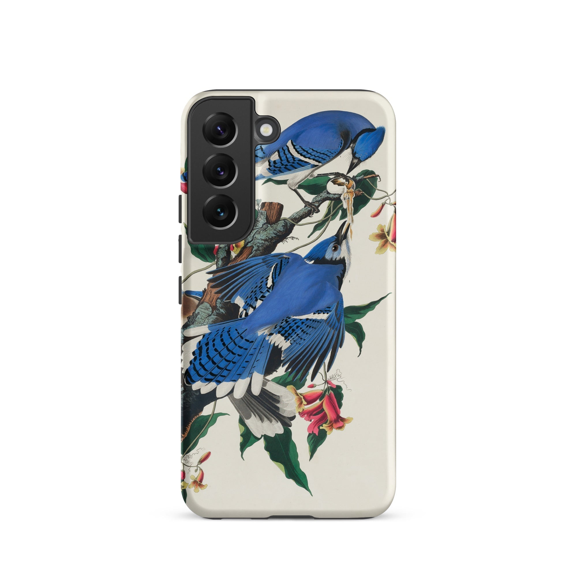 Blue Jays John James Audubon Samsung Case, Galaxy S22 / Matte, White Phone Case Blue Jay Floral Design
