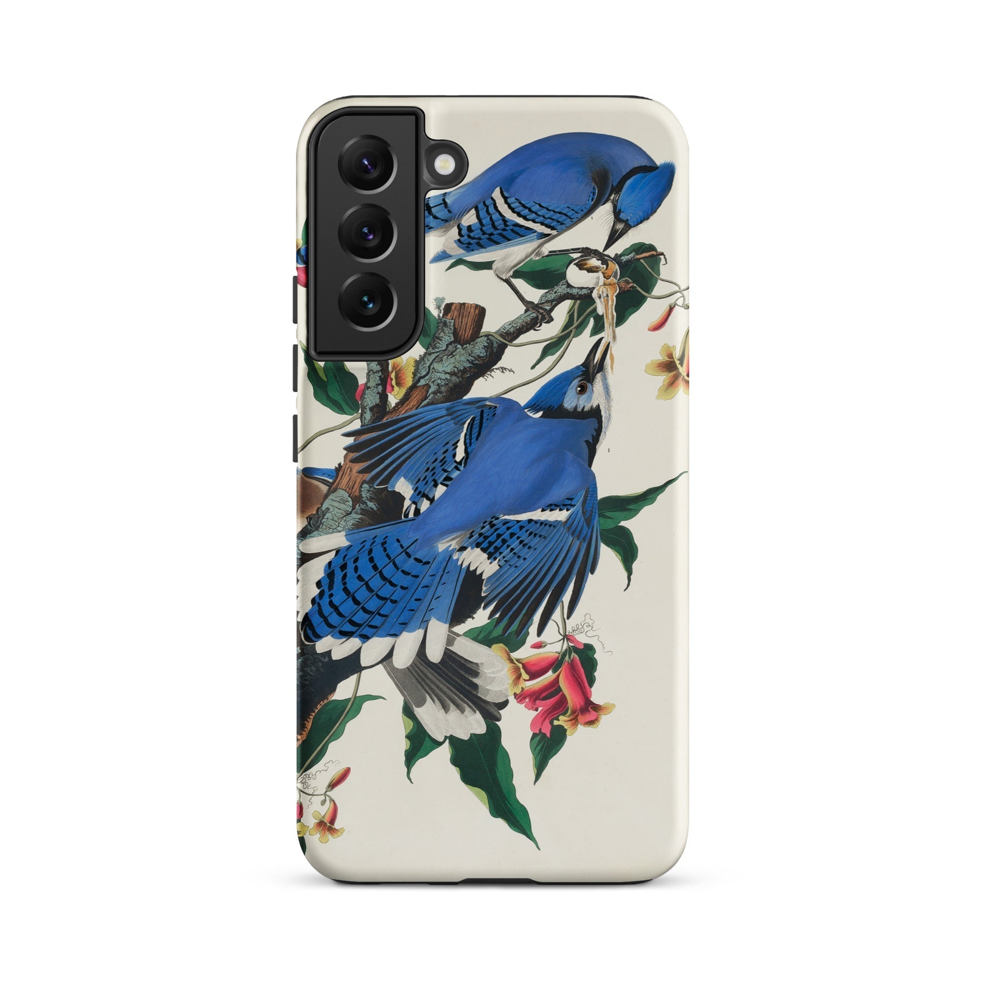 Blue Jays John James Audubon Samsung Case, Galaxy S22 Plus / Matte, White Smartphone Case Blue Jay Floral Design