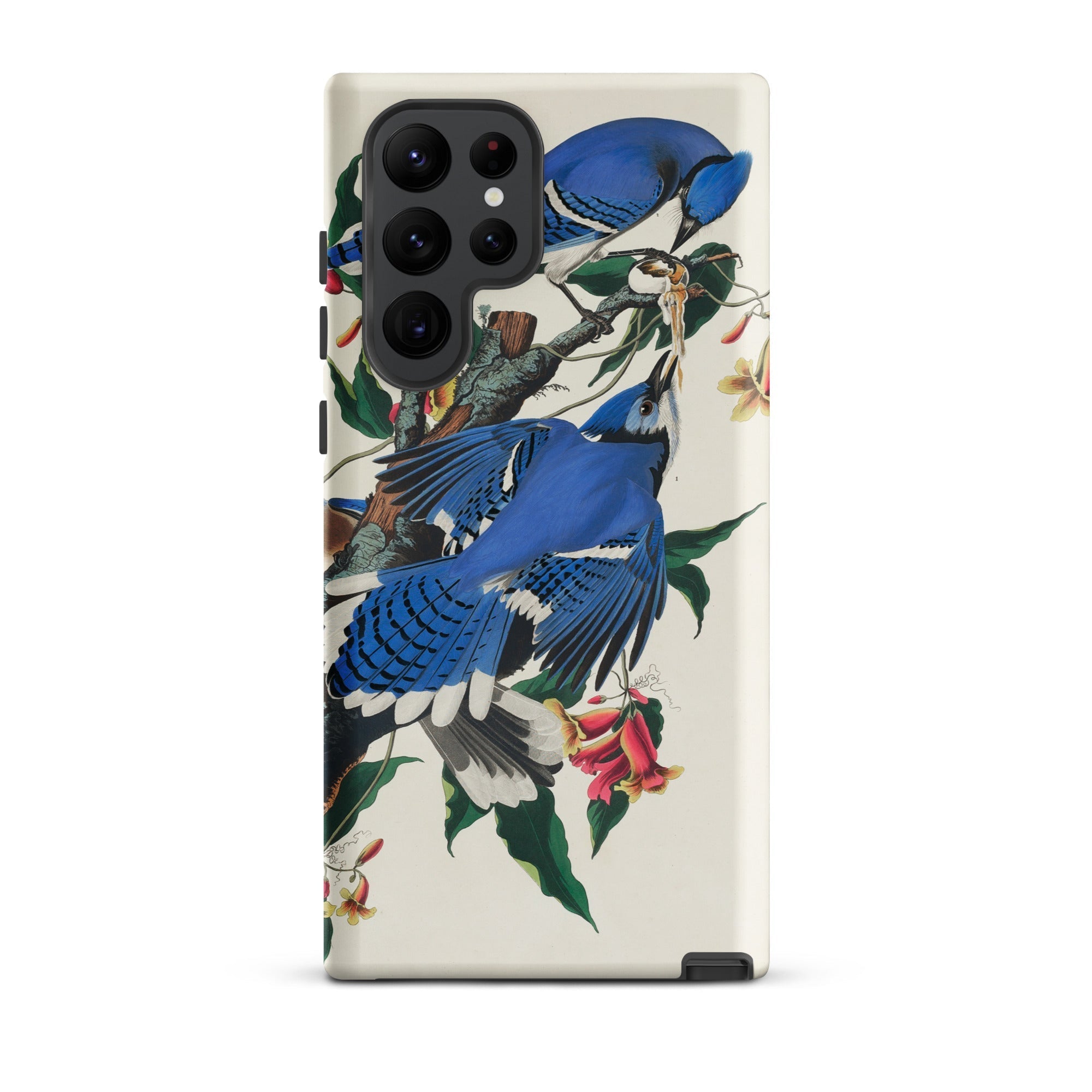 Blue Jays John James Audubon Samsung Case, Galaxy S22 Ultra / Matte, Smartphone Nature Themed Protective Case Blue Jays