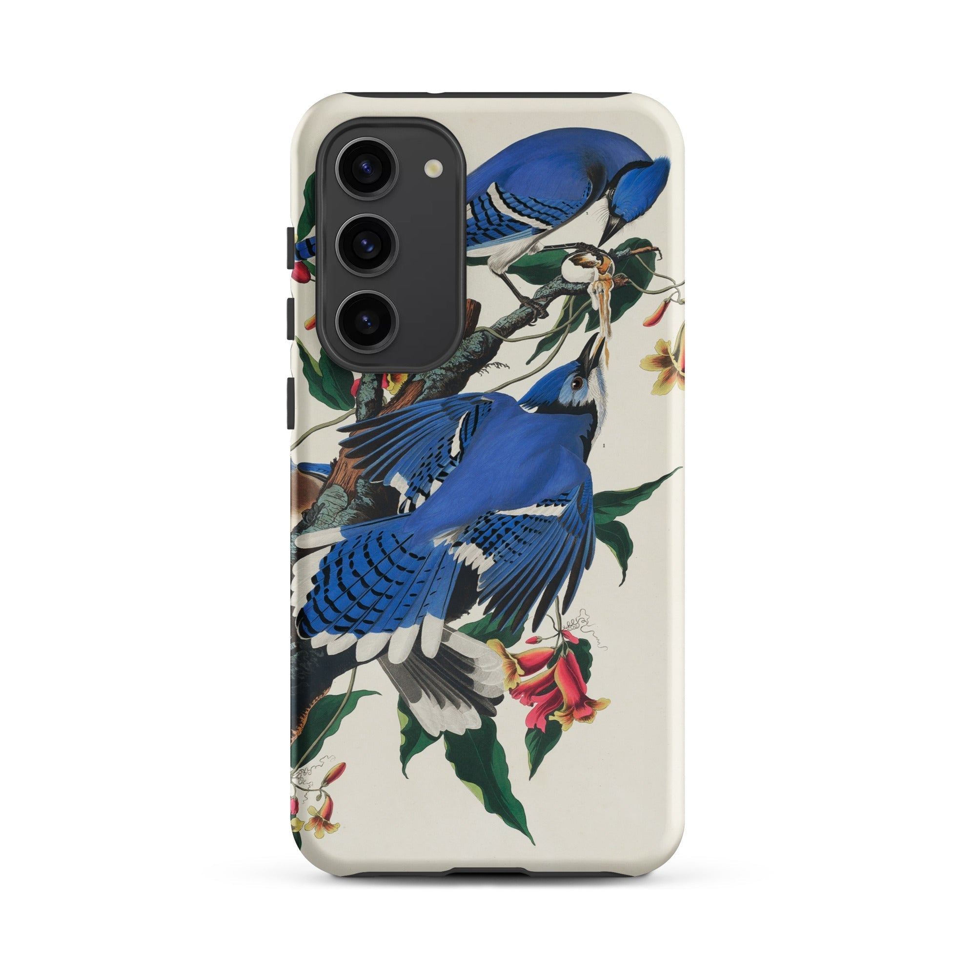Blue Jays John James Audubon Samsung Case, Galaxy S23 Plus / Matte, Phone Case Blue Jay Bird Illustration