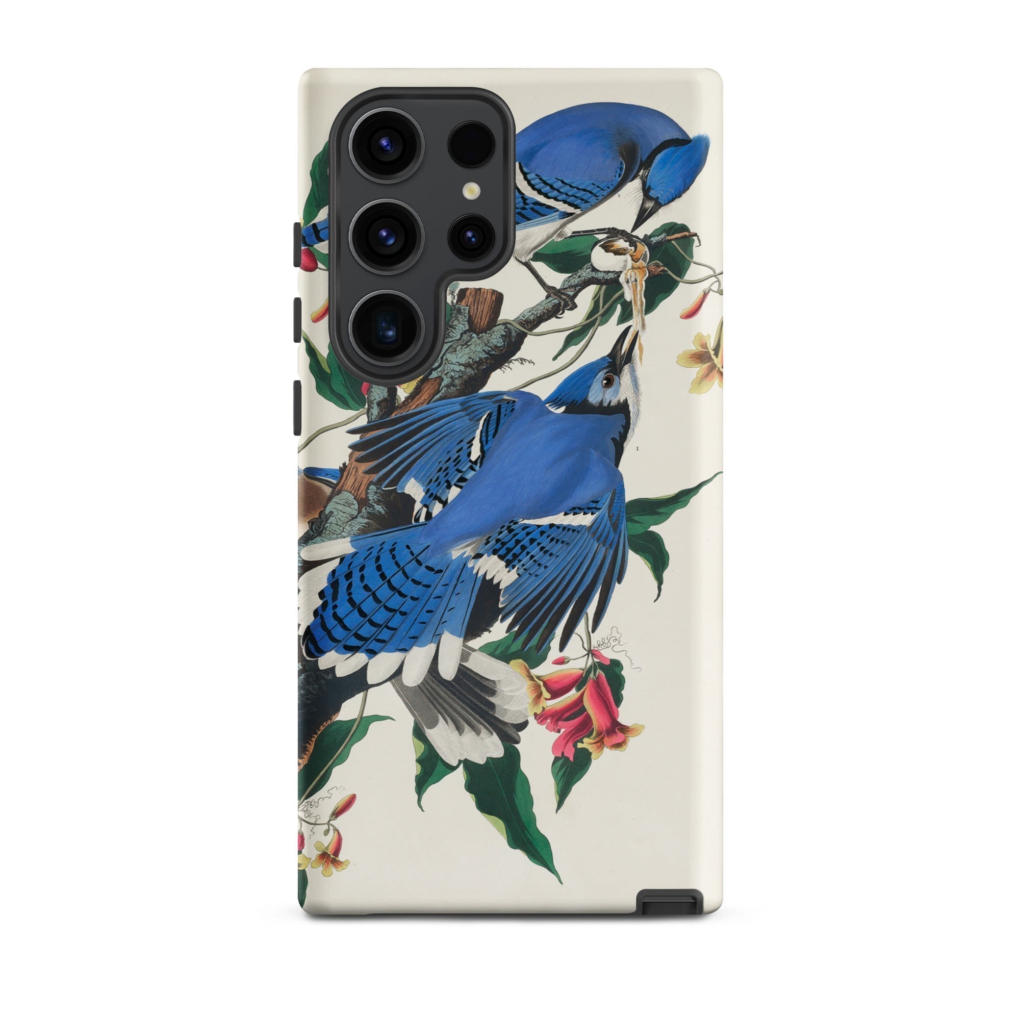 Blue Jays John James Audubon Samsung Case, Galaxy S23 Ultra / Matte, White Smartphone Case Blue Jay Bird Floral Design