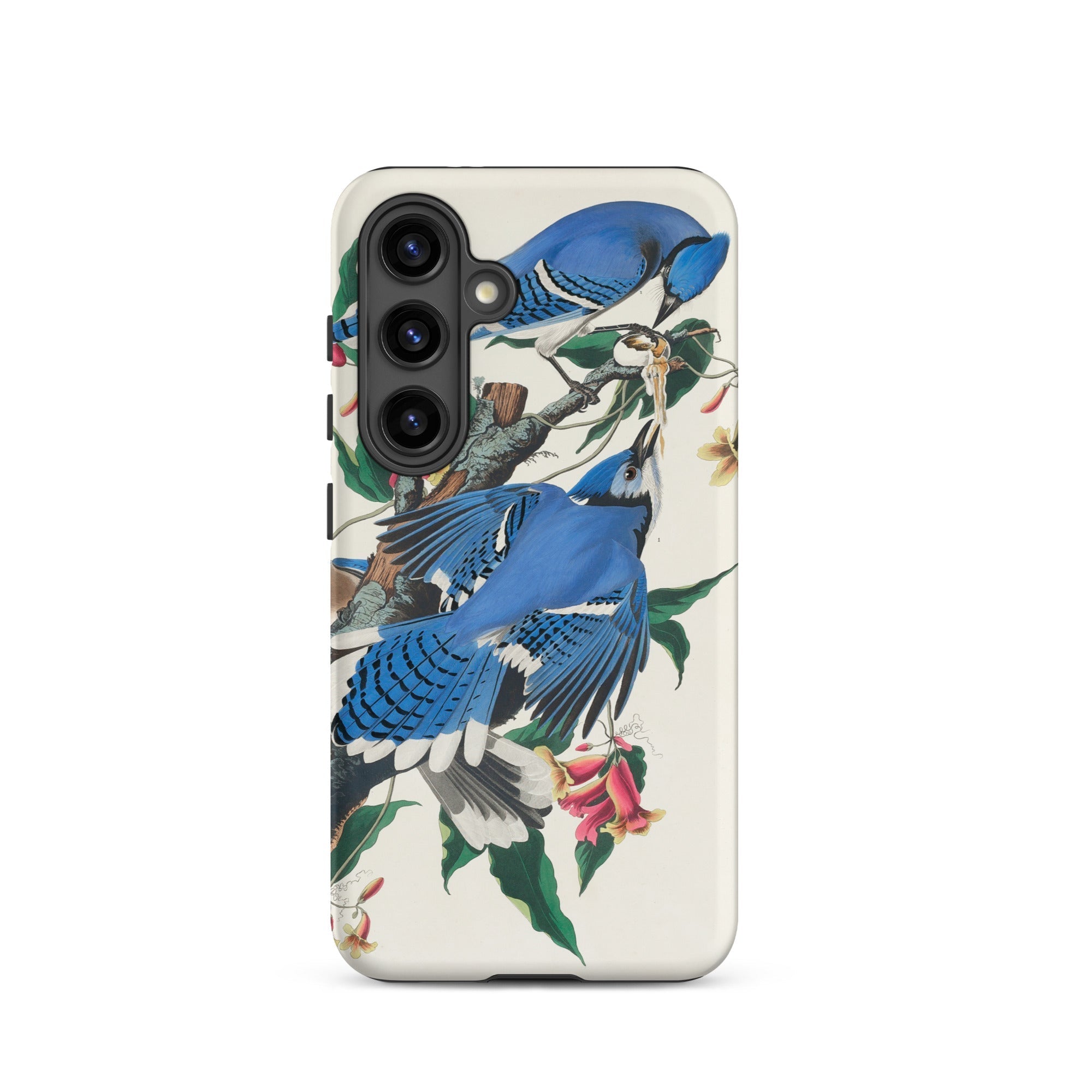 Blue Jays John James Audubon Samsung Case, Galaxy S24 / Matte, Phone Case Vibrant Blue Jay Illustration