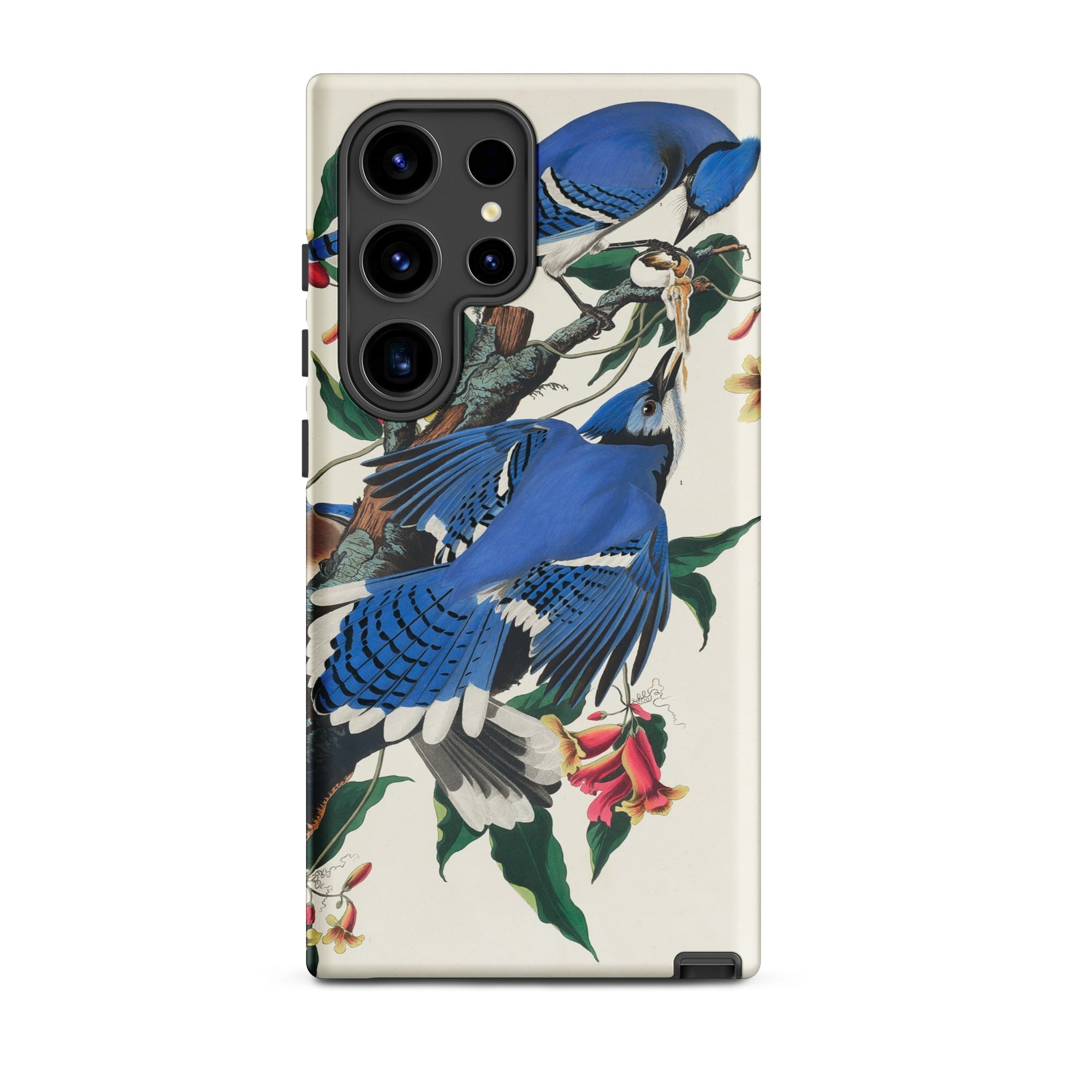 Blue Jays John James Audubon Samsung Case, Galaxy S24 Ultra / Matte, Smartphone Case Blue Jay Floral Design