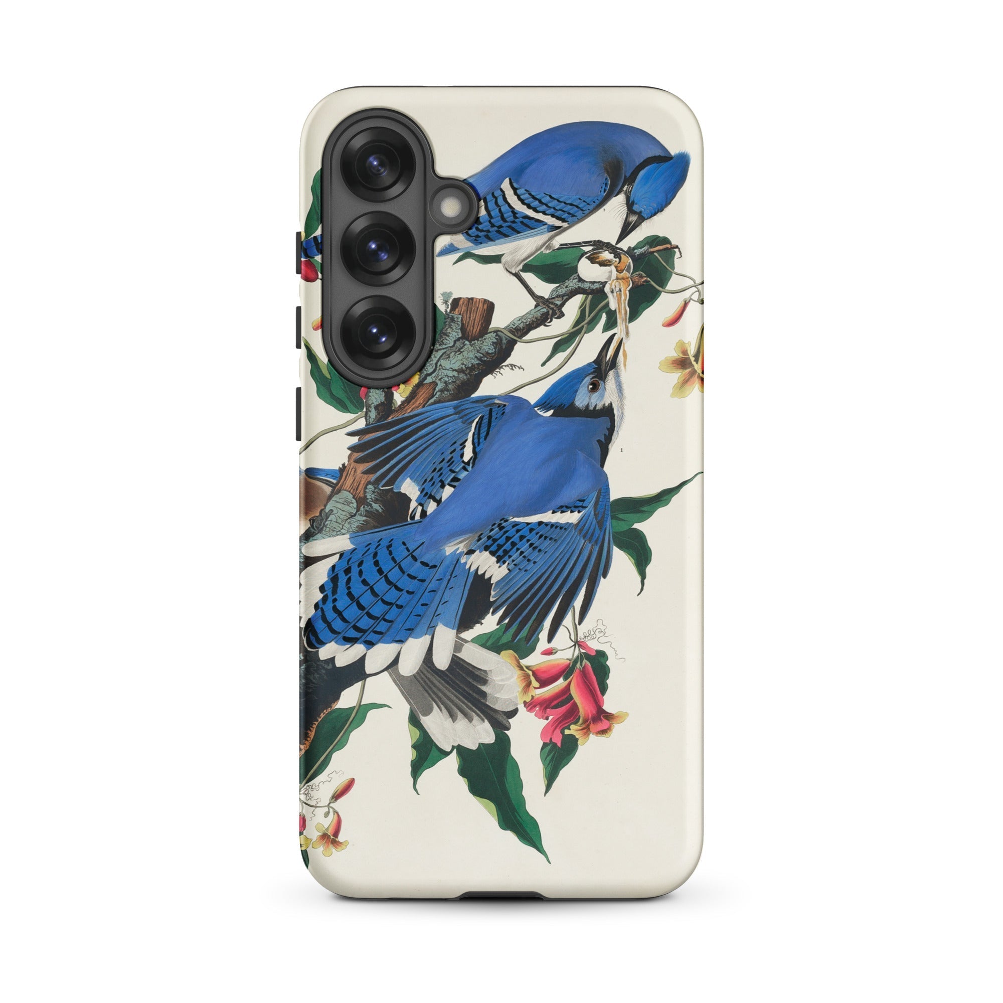 Blue Jays John James Audubon Samsung Case, Galaxy S25 Plus / Matte, Phone Case Vibrant Blue Jay Floral Design