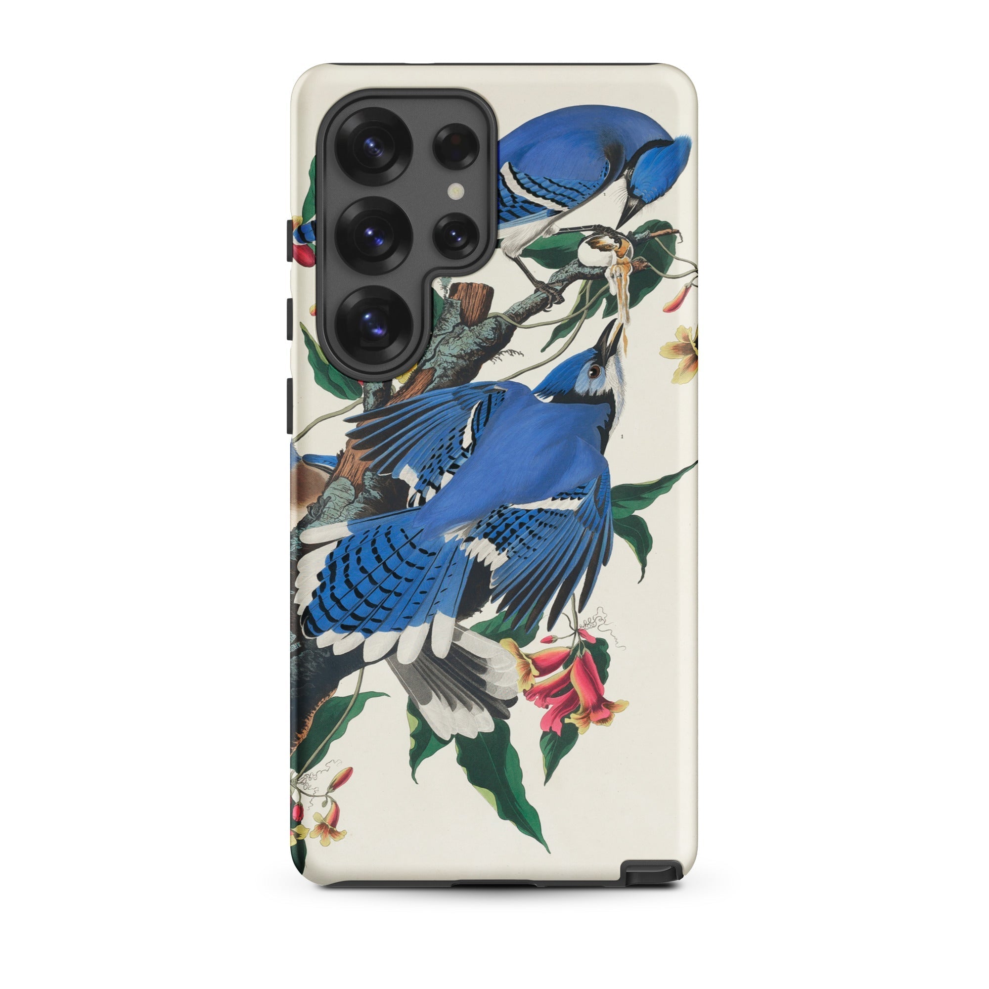Blue Jays - John James Audubon Samsung Case, Galaxy S25 Ultra / Matte, Phone Case Vibrant Blue Jay Illustration