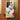 Book Illustration Sashi-e - Goyo Hashiguchi Phone Case, Goyo’s, Squirrel, Study, Takes