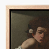 Framed Canvas Print Classical Painting Young Figure Dark Boy Bitten, Italian Baroque Shock, Stone Ledge Strewn, Pale Yellow-green Fruits,