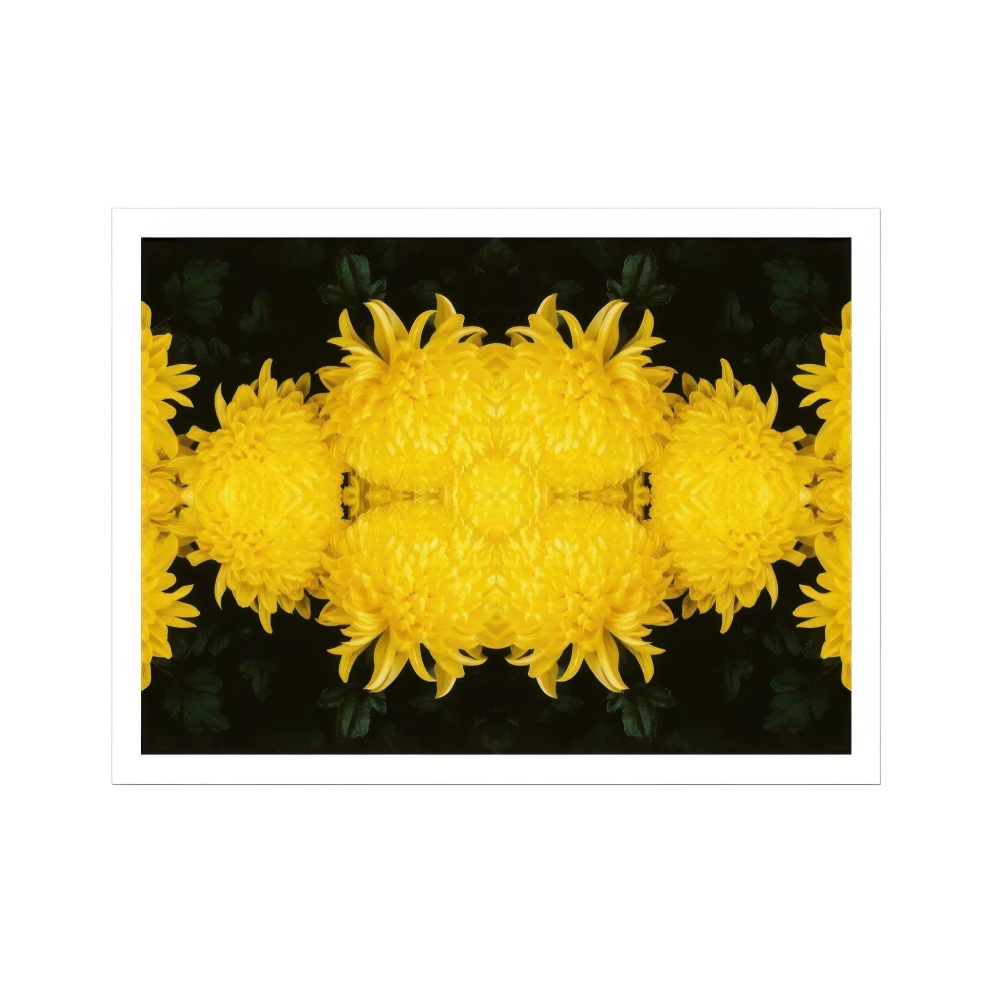 Tweedledee - Golden Chrysanthemum Op Art Print Posters Prints & Visual Artwork