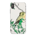 Bulbul and Rugosa Numata Kashu Shūchō Gafu Iphone Case, x / Matte, Phone Case Delicate Illustration Green Bird Perched Branch