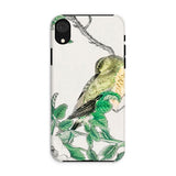 Bulbul and Rugosa - Numata Kashu Shūchō Gafu Iphone Case Xr / Matte Phone Case Delicate Illustration Bird Perched Leafy Branch Numata
