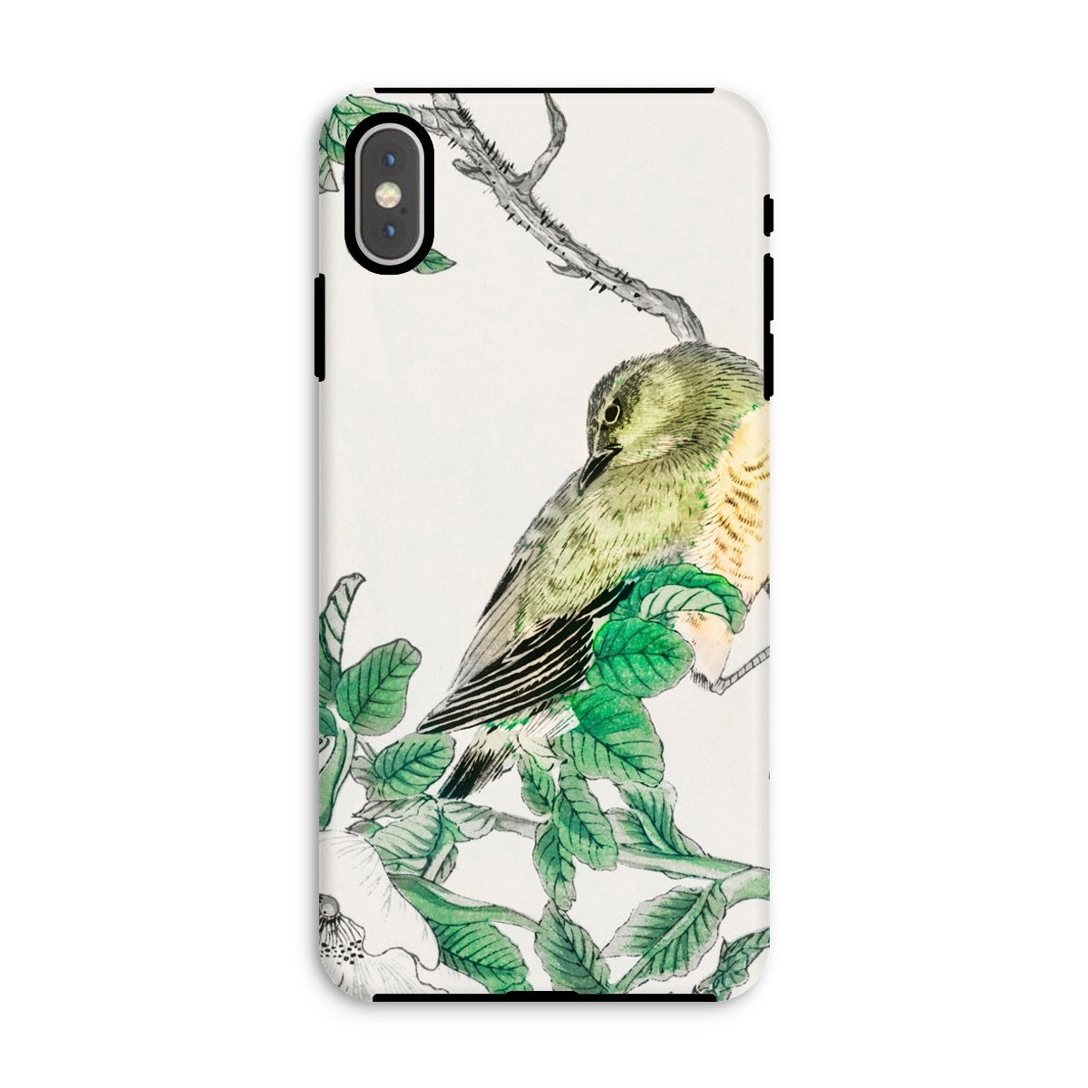 Bulbul and Rugosa Numata Kashu Shūchō Gafu Iphone Case, Xs Max / Matte, Phone Case Delicate Illustration Bird Perched Leafy Branch