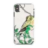 Bulbul and Rugosa - Numata Kashu Shūchō Gafu Iphone Case Xs Max / Matte Phone Case Delicate Illustration Bird Perched Leafy Branch Numata
