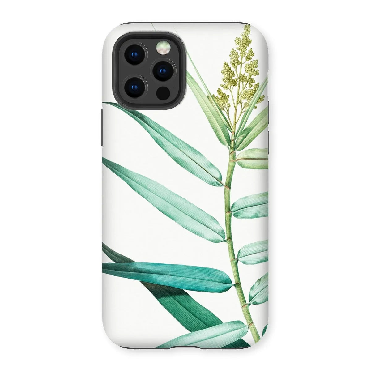 Bush Cane Botanical Aesthetic Phone Case - P.j. Redouté - Iphone 12 Pro / Matte - Mobile Phone Cases - Aesthetic Art