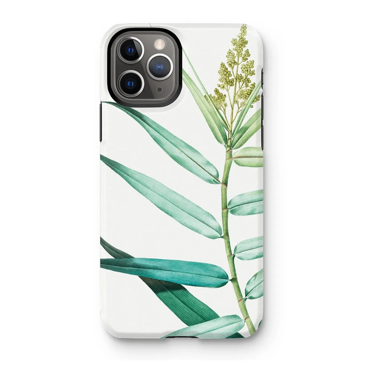 Bush Cane Botanical Aesthetic Phone Case - P.j. Redouté - Iphone 11 Pro / Matte - Mobile Phone Cases - Aesthetic Art