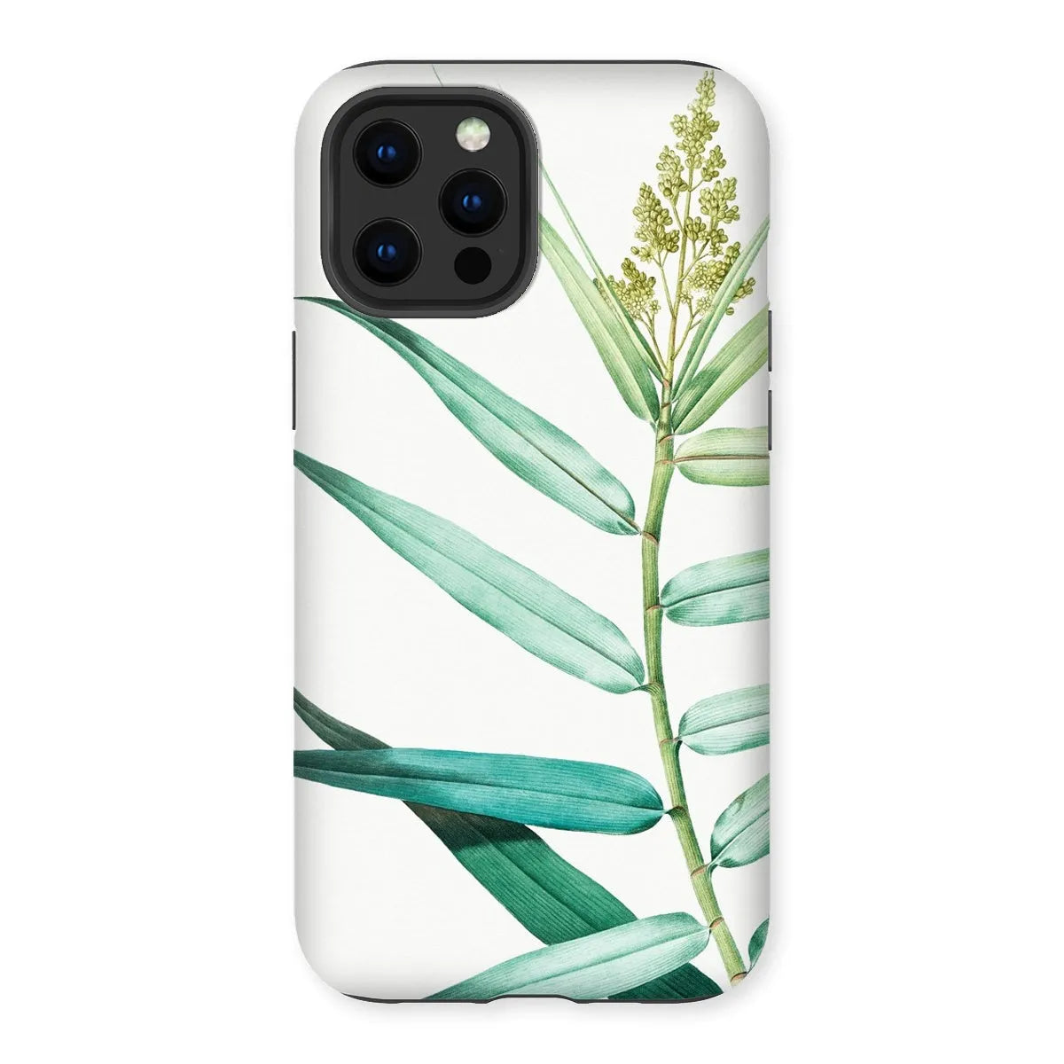 Bush Cane Botanical Aesthetic Phone Case - P.j. Redouté - Iphone 12 Pro Max / Matte - Mobile Phone Cases - Aesthetic