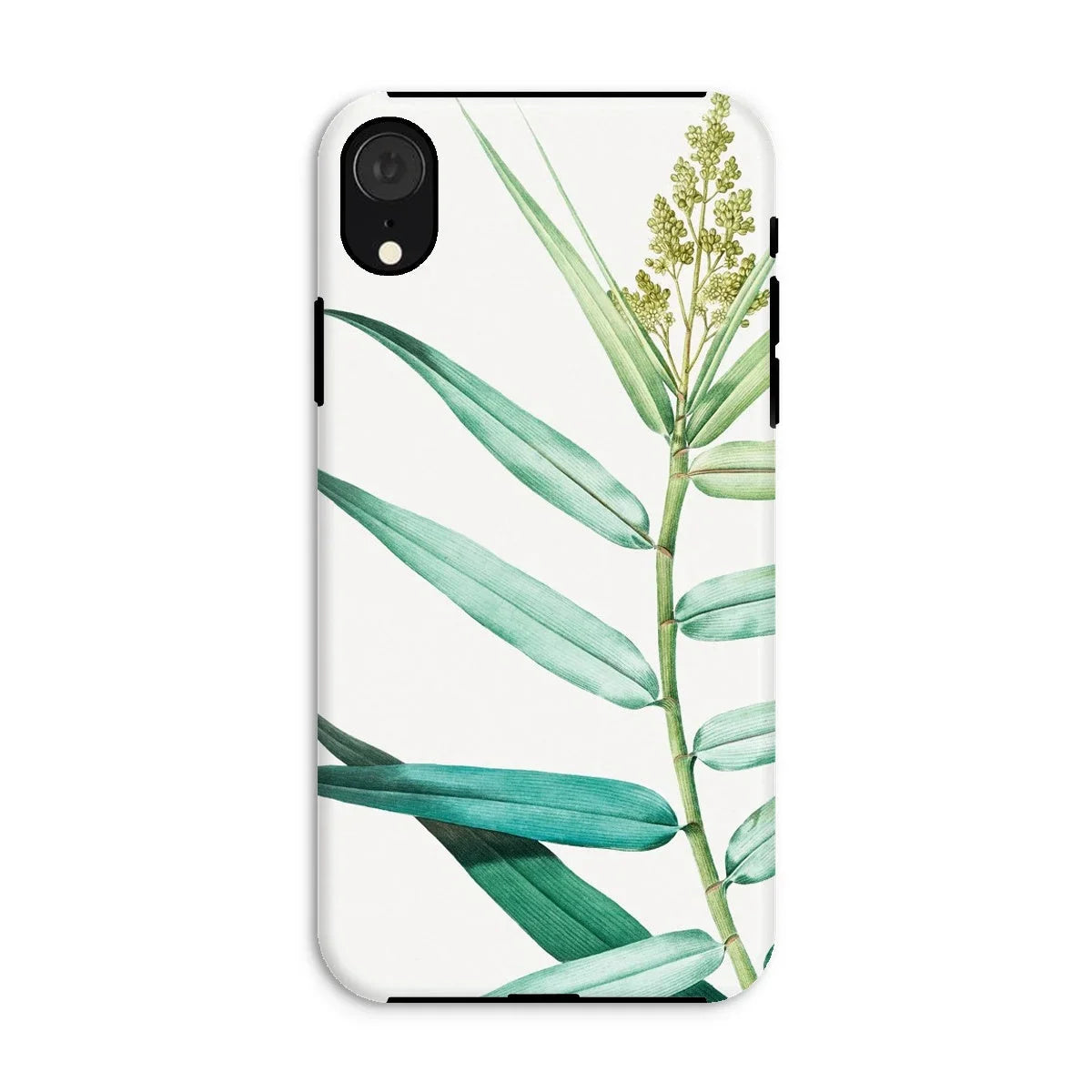 Bush Cane - P.j. Redouté Botanist Art Iphone Case - Xr / Matte