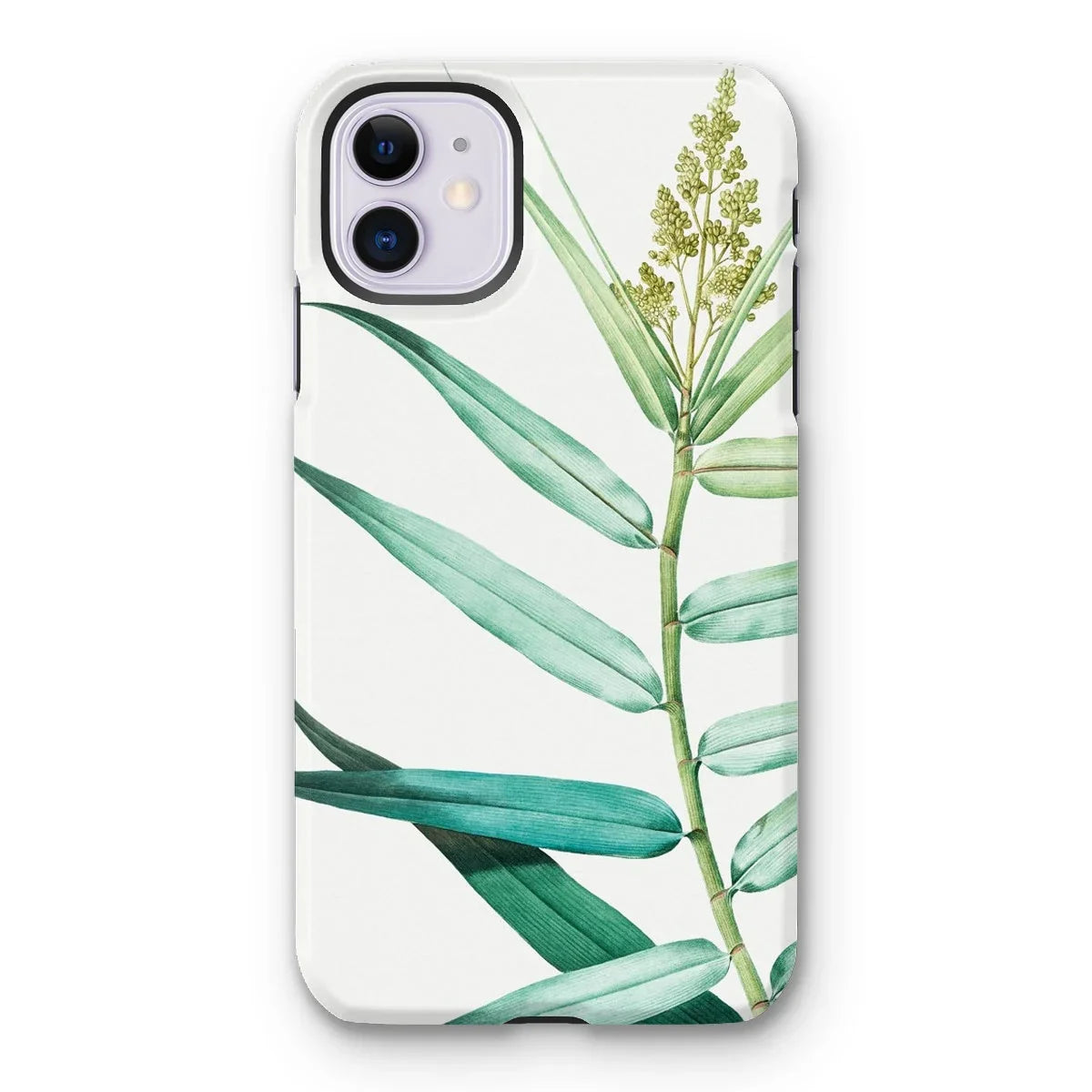 Bush Cane - P.j. Redouté Botanist Art Iphone Case - 11 / Matte