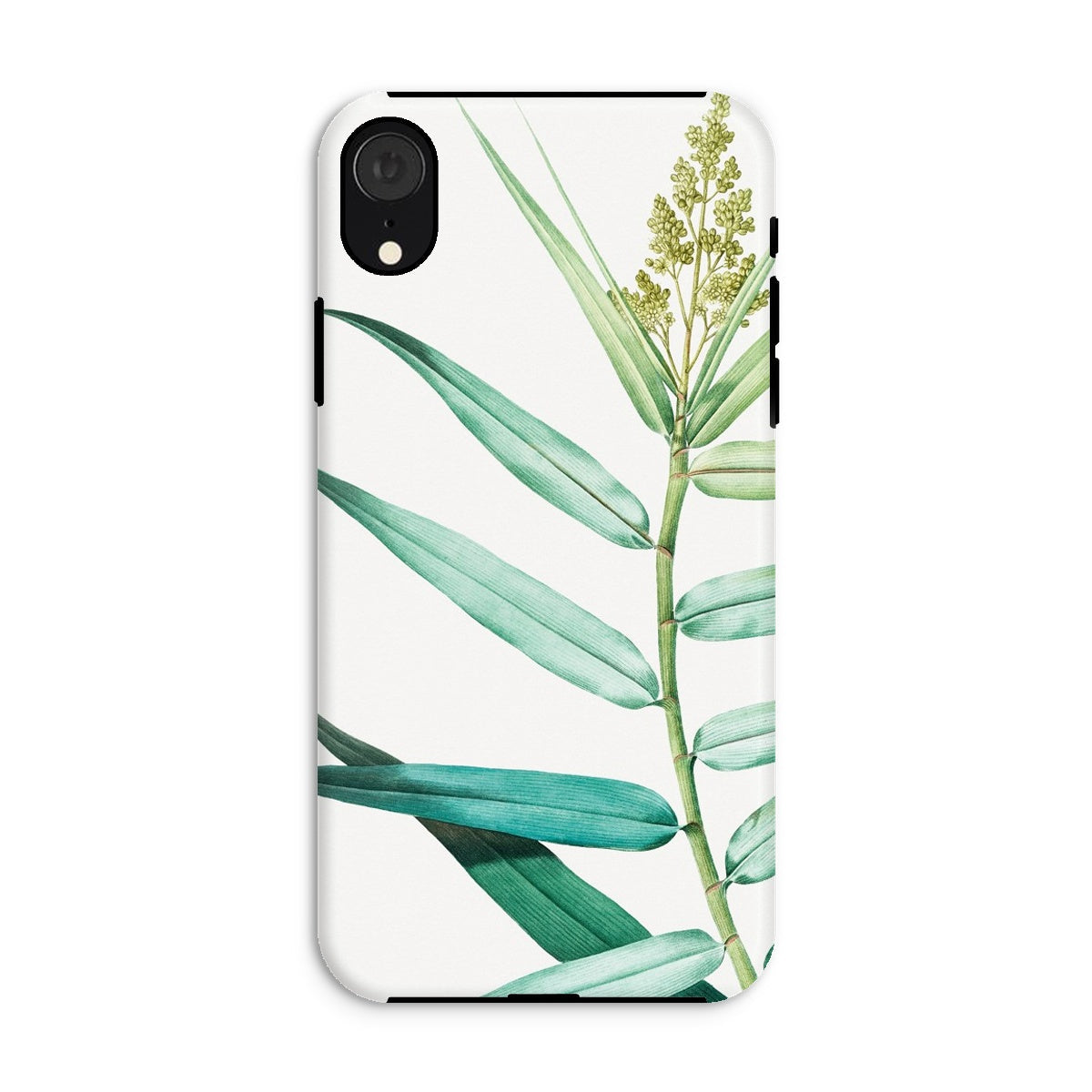 Bush Cane P.j. Redouté Botanist Art Iphone Case, Xr / Matte, Phone Case Botanical Print Green Leaves Stem