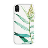 Bush Cane - P.j. Redouté Botanist Art Iphone Case, Xr / Matte, Phone Case Botanical Print Green Leaves Stem