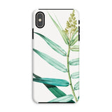 Bush Cane - P.j. Redouté Botanist Art Iphone Case, Xs Max / Matte, Phone Case Botanical Print Green Leaves Stem