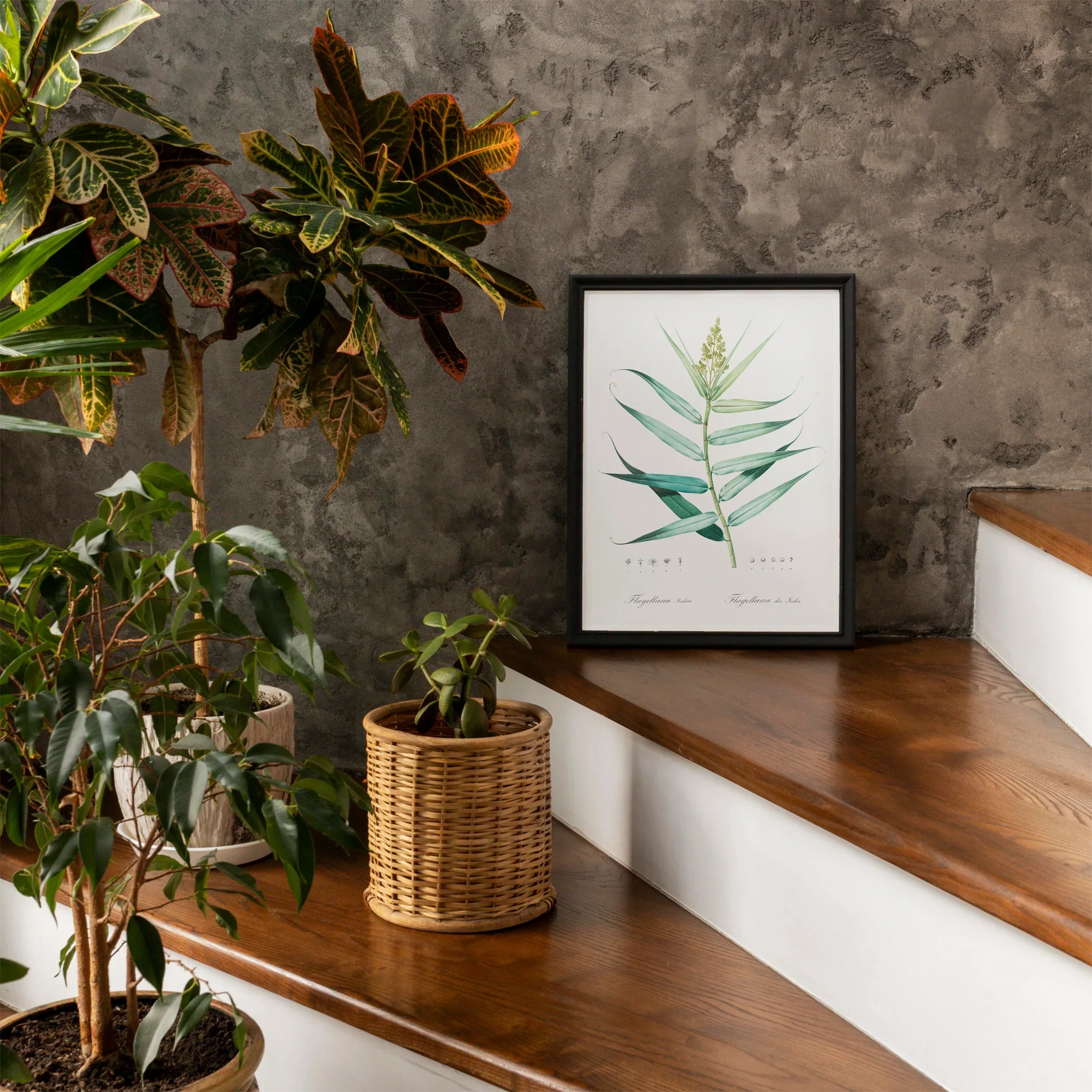 Bush Cane - Pierre-joseph Redouté Botanist Art Print, 12’’x16’’ / Unframed, Framed Botanical Print Green Fern Leaf Display