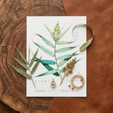 Bush Cane - Pierre-joseph Redouté Botanist Art Print / Canvas Botanical Illustration Print Detailed Watercolor Depictions Green Fern-like