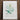 Framed Botanical Illustration Green Leafy Plant Delicate Yellow Pierre-joseph Redouté, Redouté’s Bush Cane, Botanist Art Print