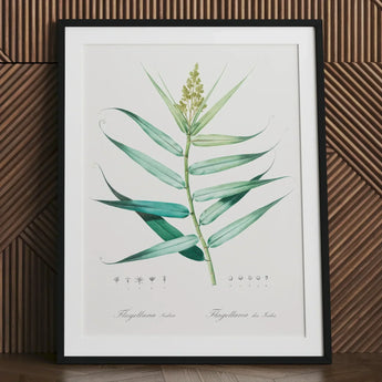 Bush Cane - Pierre-joseph Redouté Botanist Art Print / Canvas Framed Botanical Illustration Green Plant Long Leaves Stem Pierre-joseph