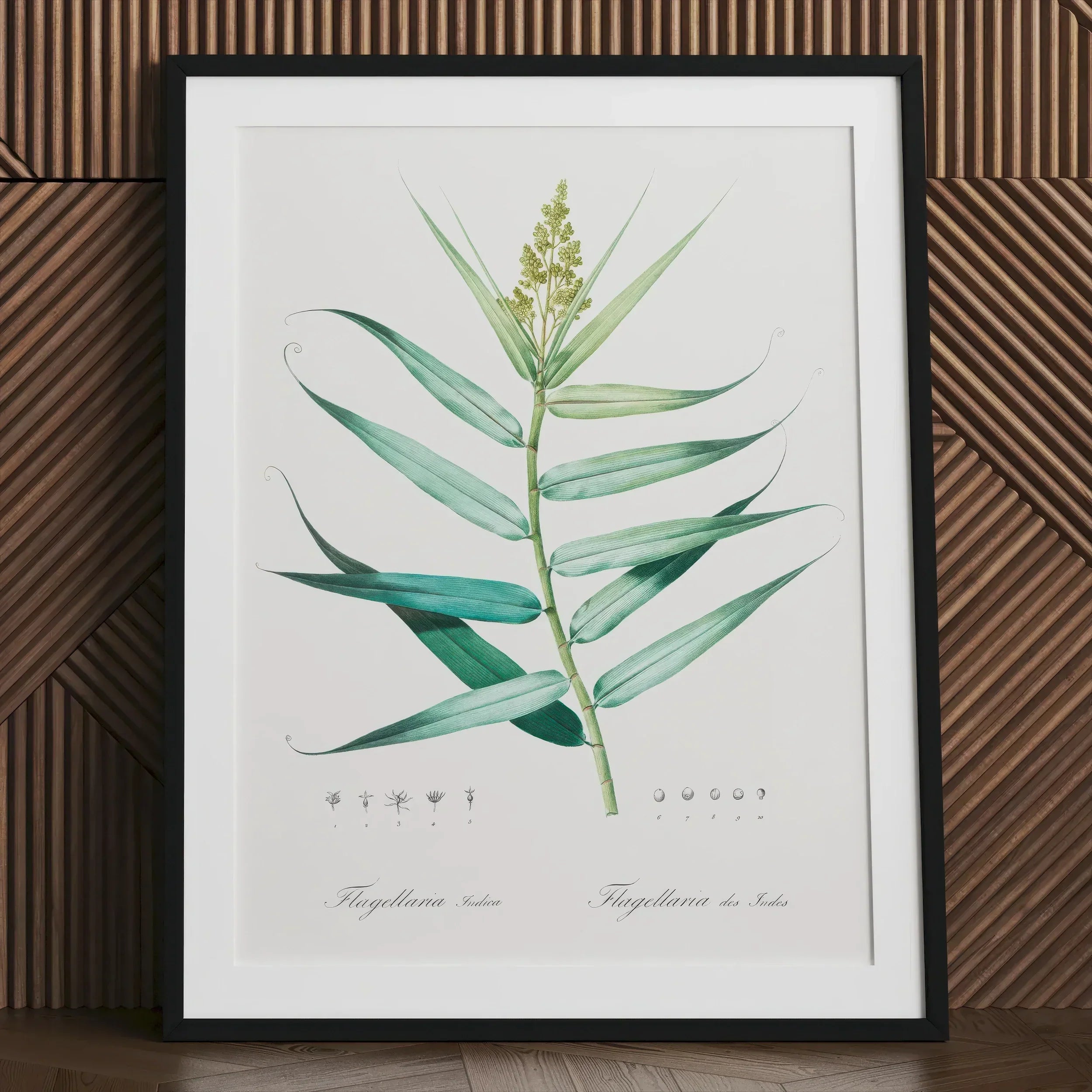 Bush Cane - Pierre-joseph Redouté Botanist Art Print - 30’’x40’’ / Unframed