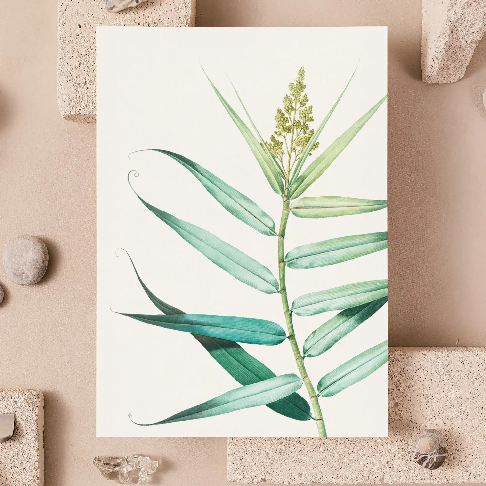 Bush Cane - Pierre-joseph Redouté Botanist Greeting Card - Greeting & Note Cards - Aesthetic Art