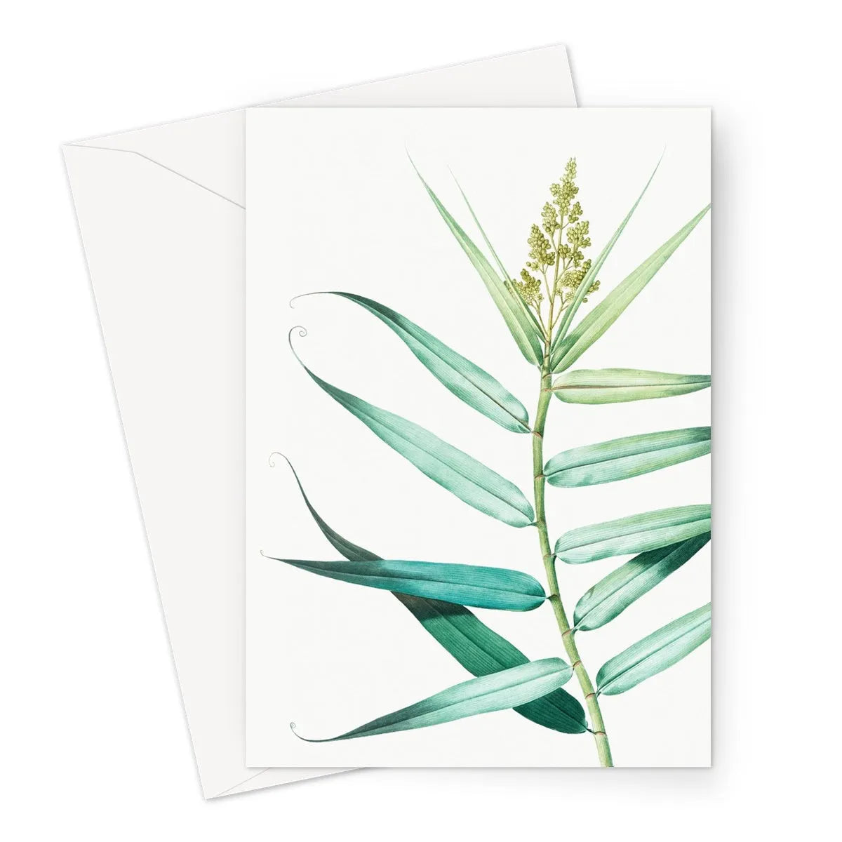 Bush Cane By Pierre-joseph Redouté Greeting Card - A5 Portrait / 1 Card - Greeting & Note Cards - Aesthetic Art