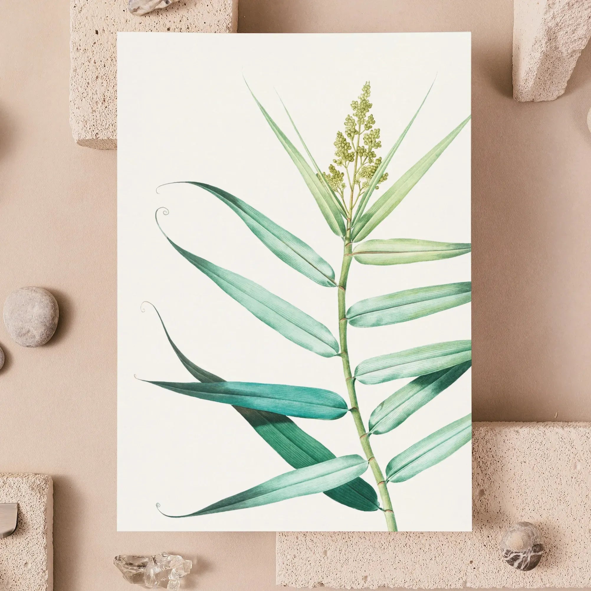 Bush Cane By Pierre-joseph Redouté Greeting Card - Greeting & Note Cards - Aesthetic Art