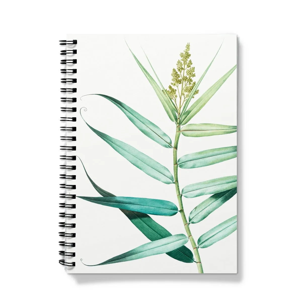 Bush Cane By Pierre-joseph Redouté Notebook - A5 / Graph - Notebooks & Notepads - Aesthetic Art