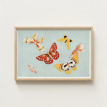 Framed Artwork Collection Colorful Stylized Butterflies Light Blue Kamisaka Sekka’s Vibrant, Japan’s Artistic Renaissance, Chō Senshu
