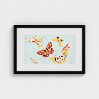 Butterflies - Kamisaka Sekka Cho Senshu Art Print / Canvas Framed Artwork Collection Colorful Light Blue Background Sekka’s Vibrant,